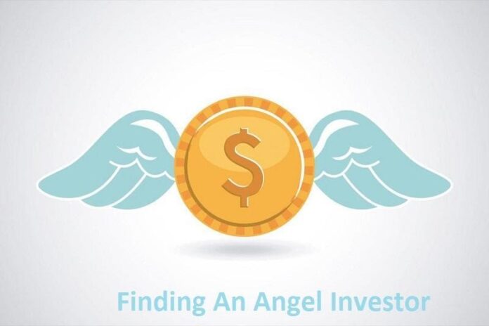 finding and angel ivestor