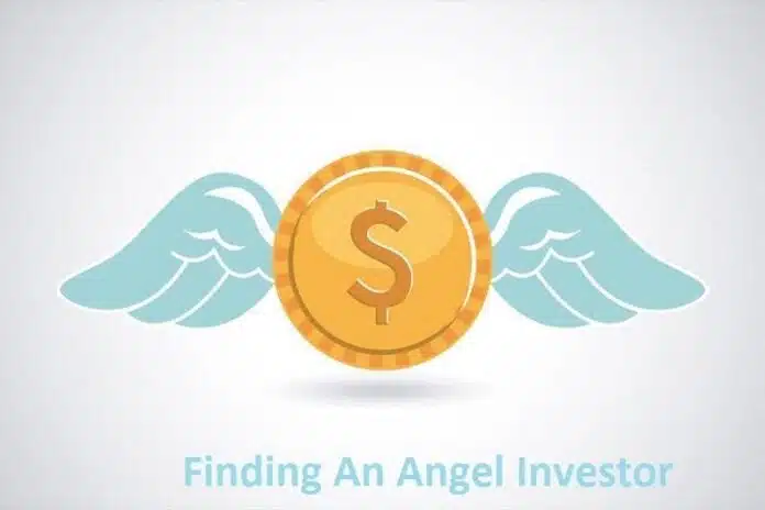 finding and angel ivestor