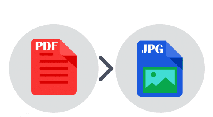 PDF to JPG