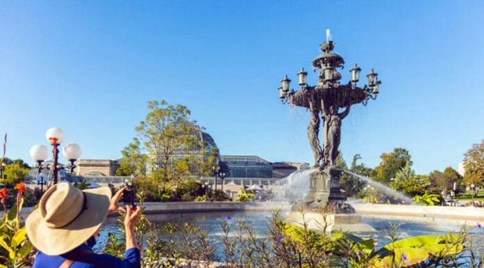 Things to Do in Capitol Hill