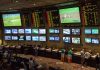Sports betting website Megapari Sports betting news