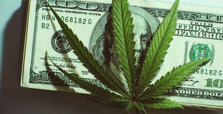 Cannabis Business Social Network newscase.com