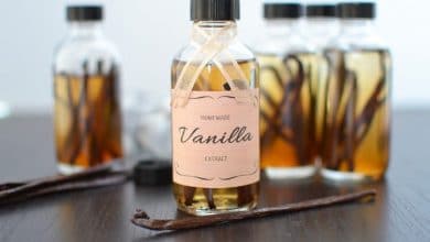where does vanila flavoring come from