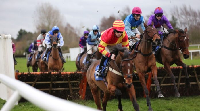 Which horses have a strong chance of going back-to-back at the Cheltenham Festival in 2023