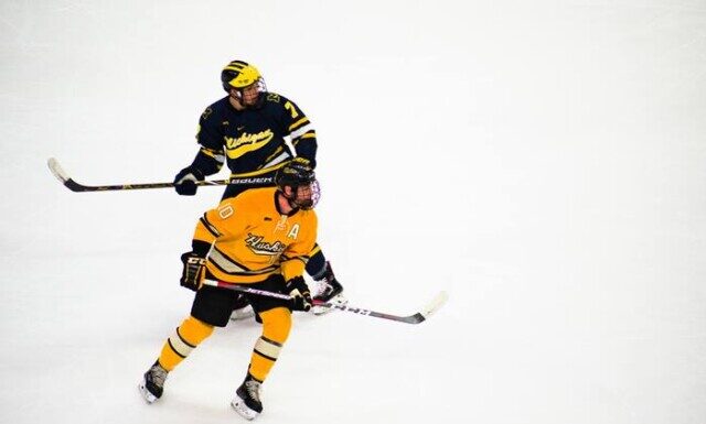 How to Become an NHL Fan for Beginners