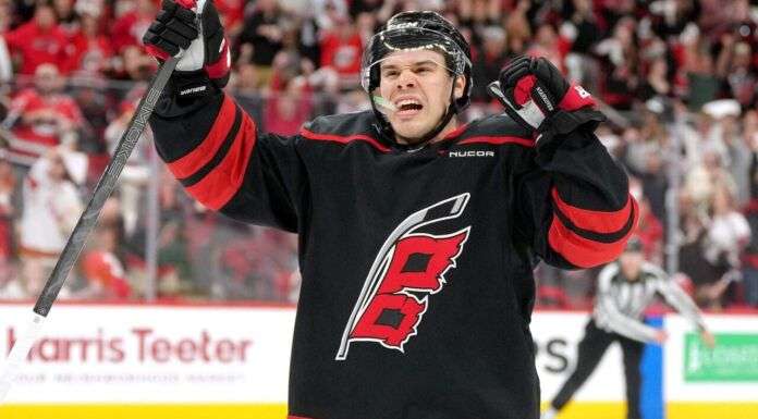 Stankoven's NHL Fight Debut Steals Show